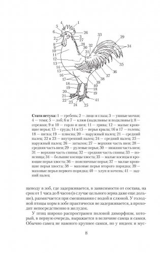 Самый полный справочник птицевода фото книги 9