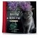 Коты и цветы. Календарь настенный на 2022 год фото книги маленькое 3