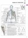 Анатомия силовых упражнений для мужчин и женщин фото книги маленькое 11