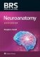 BRS Neuroanatomy 6E фото книги маленькое 2