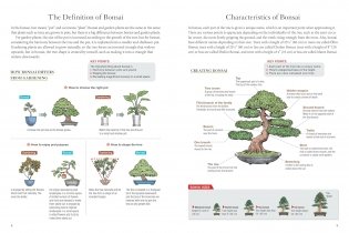 Bonsai master class фото книги 4