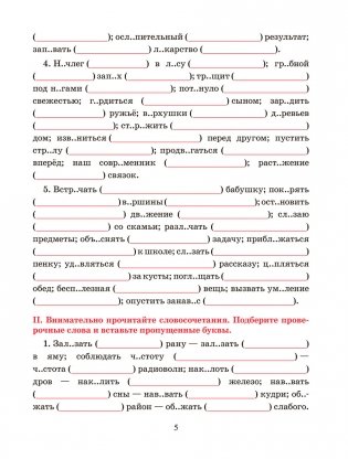 Русский язык. Тренажёр по орфографии и пунктуации. 5 класс фото книги 5