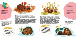 Кто что строит? Кто где спит? фото книги 3