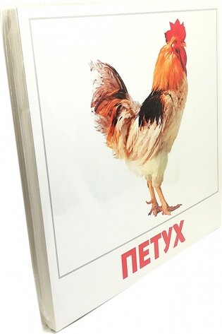 Комплект карточек "Домашние животные" фото книги