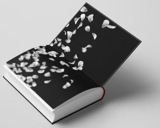 Невинная вишня фото книги 4