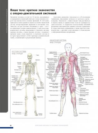 Анатомия фитнеса и силовых упражнений: иллюстрированный справочник по мышцам в действии фото книги 6