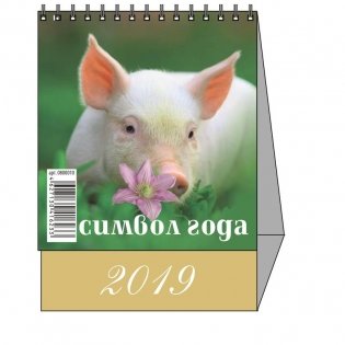 Календарь-домик настольный на 2019 год "Символ года 1", 100х140 мм фото книги