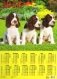 Календарь настенный на 2018 год "Год собаки. Три щенка спаниеля" фото книги маленькое 2