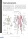Анатомия фитнеса и силовых упражнений: иллюстрированный справочник по мышцам в действии фото книги маленькое 7