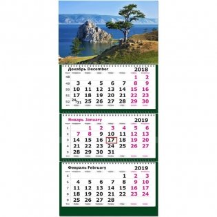 Календарь настенный трехблочный на 2019 год "Горная сосна. Байкал", 305х675 мм фото книги