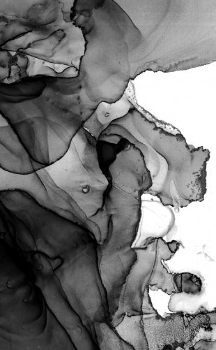 Молчание костей фото книги 3