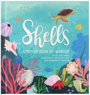 Shells. A Pop-up Book of Wonder фото книги