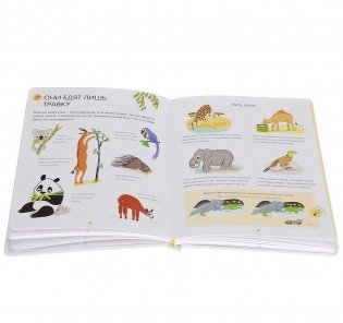 Энциклопедия для малышей. Животные фото книги 3