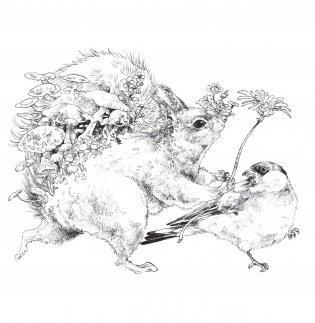 Скетчбук-раскраска. Мир поразительных существ Кэна Мацуды (белая с кроликом) фото книги 9