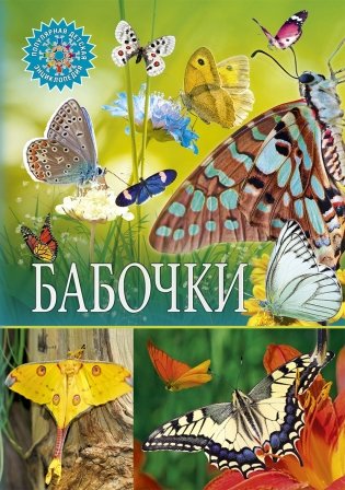 Бабочки. Первая энциклопедия для детей фото книги