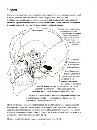 Анатомия дыхания фото книги 9