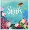Shells. A Pop-up Book of Wonder фото книги маленькое 2