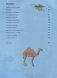 Энциклопедия животных: на суше, под водой и в воздухе фото книги маленькое 5