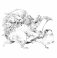 Скетчбук-раскраска. Мир поразительных существ Кэна Мацуды (белая с кроликом) фото книги маленькое 10