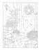 Creative Haven Gorgeous Gardens Coloring Book фото книги маленькое 10