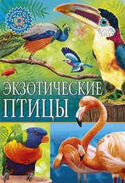 Экзотические птицы. Популярная детская энциклопедия фото книги