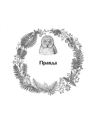 Ответы мудрой совы фото книги 4