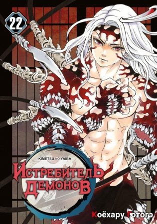 Истребитель демонов. Т. 22: Круговорот судеб: манга фото книги