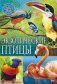 Экзотические птицы. Популярная детская энциклопедия фото книги маленькое 2