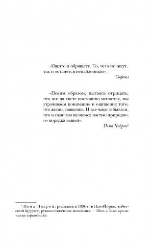 Золотой жук мисс Бенсон фото книги 8