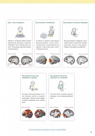 Развитие памяти и интеллекта. Рабочая тетрадь для тренировки мозга №1 фото книги 6