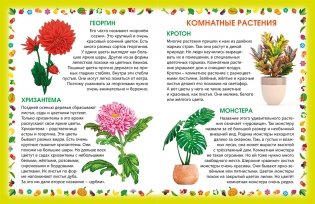 Растения. Энциклопедия для малышей фото книги 3