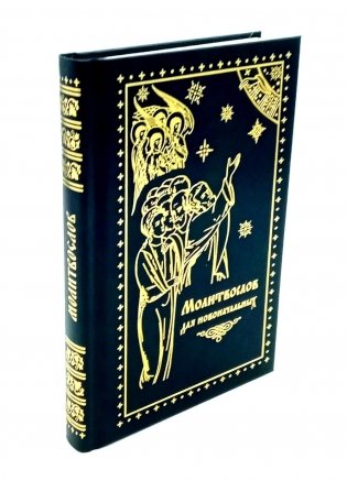 Молитвослов для новоначальных. Перевод и объяснение утренних и вечерних молтв, канонов и правила ко Святому Причащению фото книги
