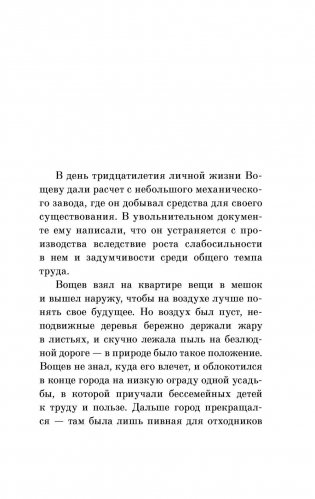 Котлован фото книги 5