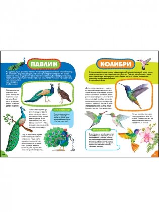 Птицы для малышей. Первая энциклопедия для самых маленьких фото книги 9