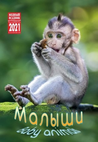 Календарь на 2021 год "Малыши" (КР21-21027) фото книги