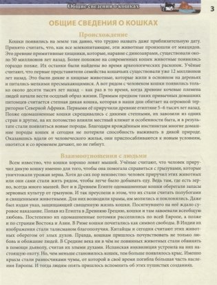 Энциклопедия. Кошки фото книги 4