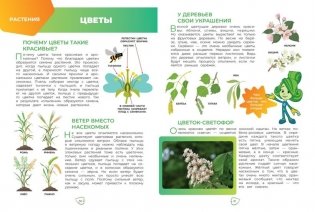 Фиксики. Как всё устроено? Главные знания о мире фото книги 6