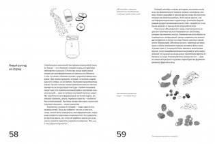 Гид по ферментации от ресторана Noma фото книги 3