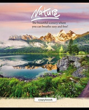 Тетрадь "Яркие пейзажи-2", А5, 96 листов, клетка фото книги 2