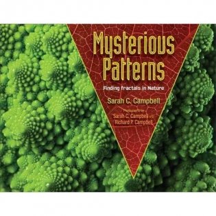 Mysterious Patterns: Finding Fractals in Nature фото книги