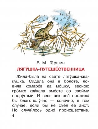 Лягушка-путешественница и другие сказки о животных фото книги 5
