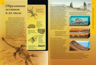 Доисторический мир динозавров. Детская энциклопедия фото книги 3