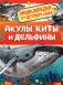Акулы, киты и дельфины (Энциклопедия для детского сада) фото книги маленькое 2