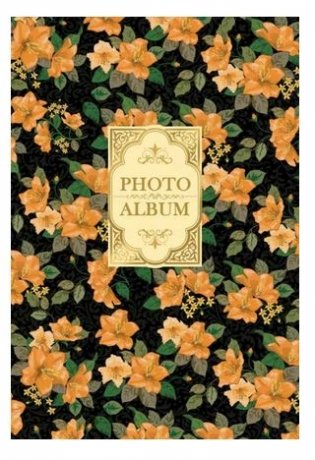 Фотоальбом в подарочной коробке, на 300 фото, 10x15 см, арт. 18870 фото книги