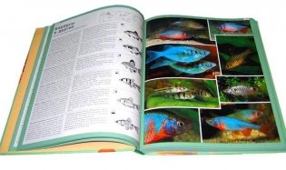 Атлас аквариумных рыб фото книги 2