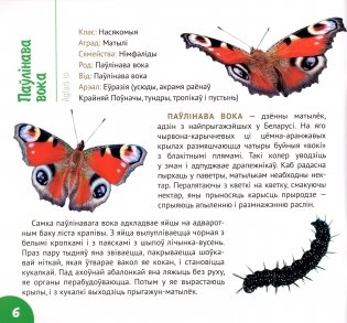 Насякомыя Беларусі фото книги 5