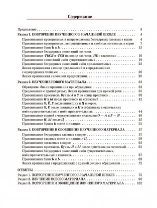 Русский язык. Тренажёр по орфографии и пунктуации. 5 класс фото книги 3