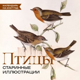 Птицы. Старинные иллюстрации. Календарь на 2027 год фото книги