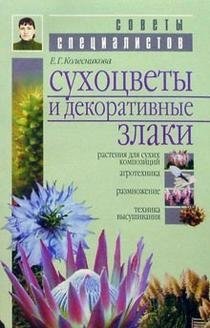 Сухоцветы и декоративные злаки фото книги