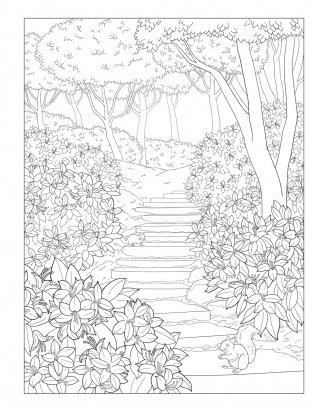 Creative Haven Gorgeous Gardens Coloring Book фото книги 4